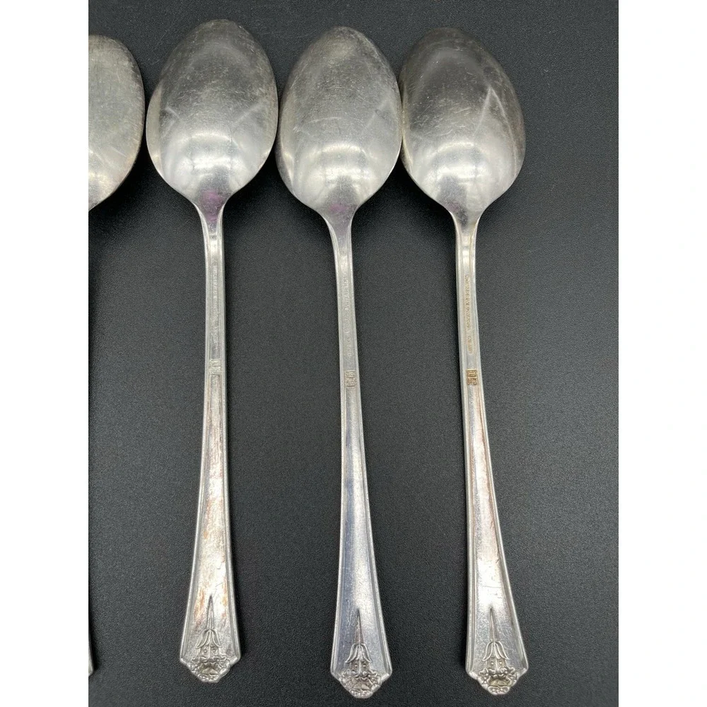 Silver Plate Tablespoon/Serving Spoon Set Of 6 Spring Garden International